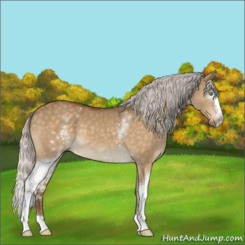 Horse Color:White Spotted Silver Buckskin Dun Mushroom
