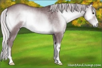 Horse Color:Chocolate Silver Blue Onyx Chinchilla 