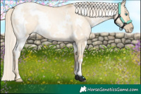 Horse Color:White Spotted Palomino Roan Pearl Dun 