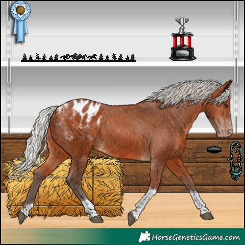 Horse Color:Silver Bay Tobiano Blanket 