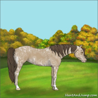 Horse Color:Classic Cream Champagne Ice 