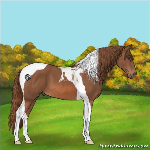 Horse Color:Chestnut Tobiano 