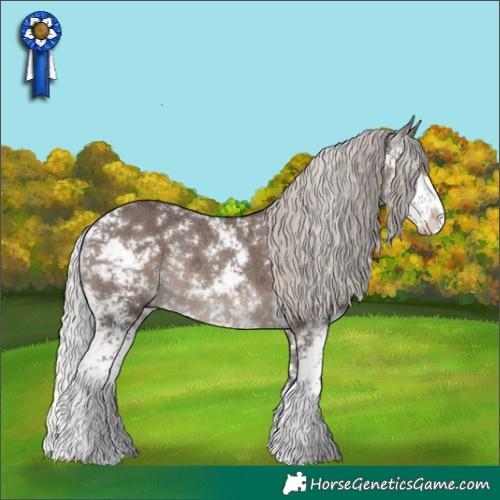 Horse Color:Silver Black Sabino Rabicano 