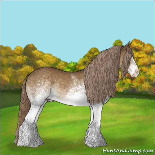 Horse Color:White Spotted Chocolate Palomino Rabicano 