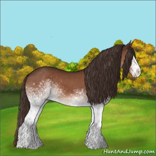 Horse Color:White Spotted Liver Chestnut Rabicano 