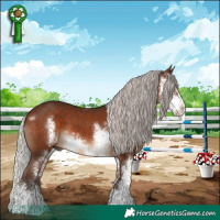Horse Color:Silver Brown Sabino 