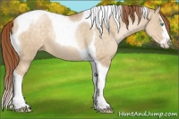Horse Color:Buckskin Roan Pearl Dun Splash Tobiano Blanket 