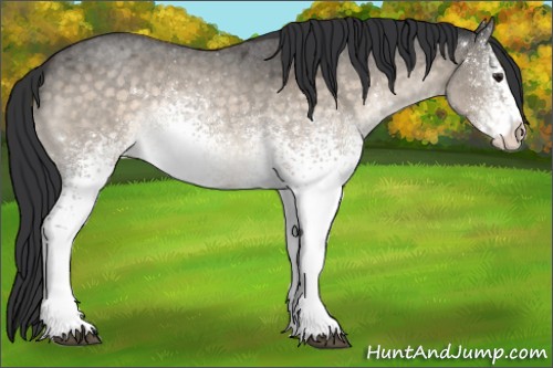 Horse Color:White Spotted Brown Roan Dun Rabicano 