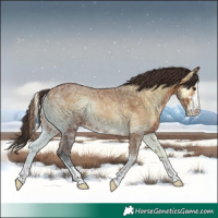 Horse Color:Bay Ice Onyx