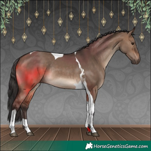 Horse Color:Brown Dun Tobiano Rabicano