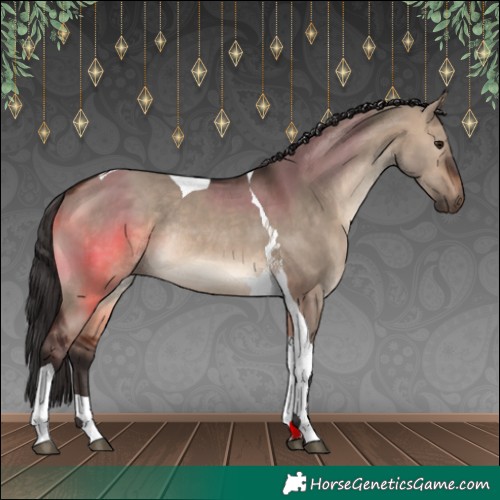 Horse Color:Brown Dun Tobiano Rabicano 