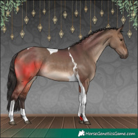 Horse Color:Brown Dun Tobiano Rabicano 