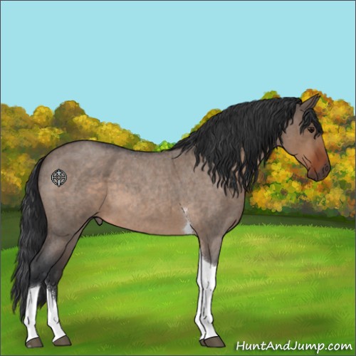 Horse Color:Brown Roan Dun Tobiano 