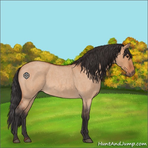 Horse Color:Bay Roan Dun 