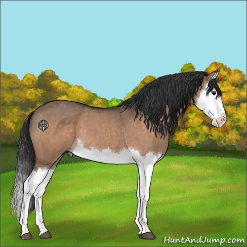 Horse Color:Brown Roan Dun Splash 