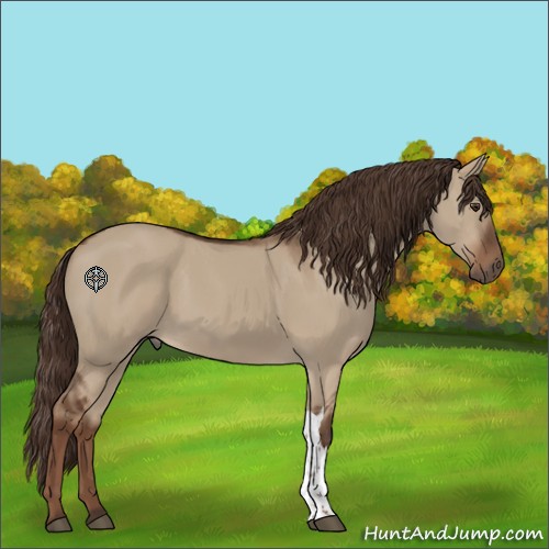 Horse Color:Liver Red Dun 