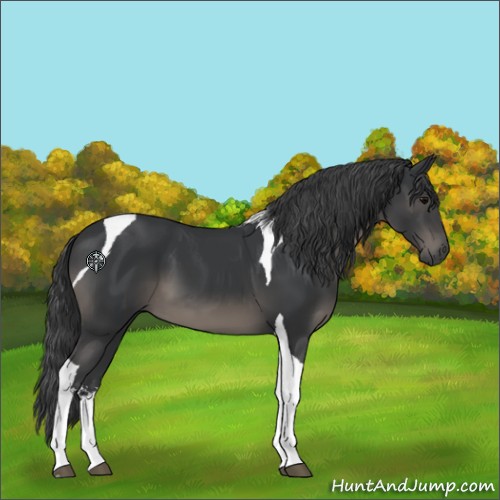 Horse Color:Black Sabino Tobiano 
