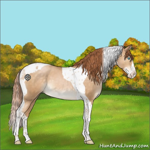 Horse Color:Buckskin Pearl Splash Tobiano 