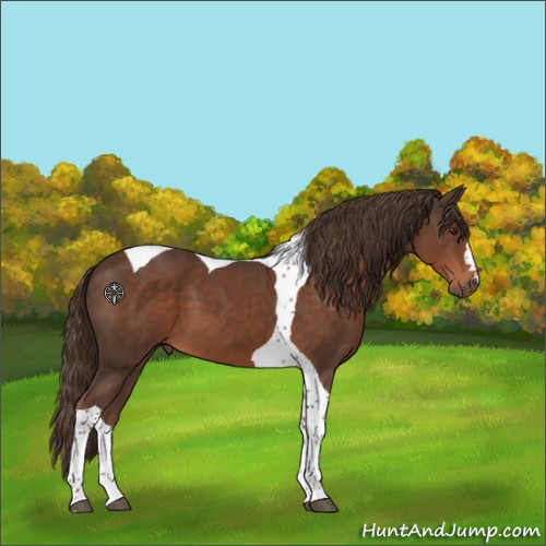 Horse Color:Liver Chestnut Tobiano 