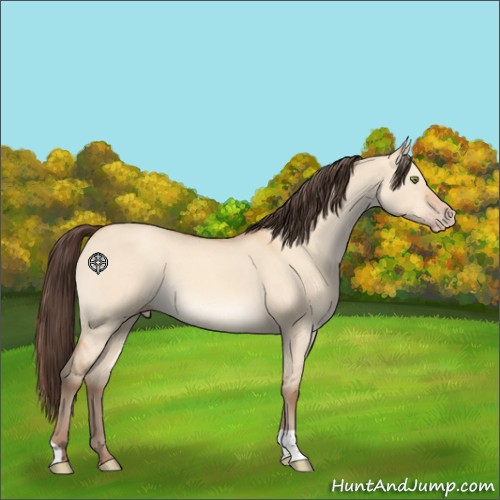 Horse Color:Amber Champagne Dun 