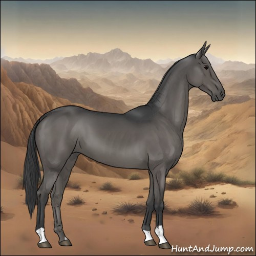 Horse Color:Black 