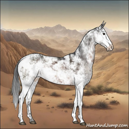 Horse Color:Brown Sabino Rabicano 
