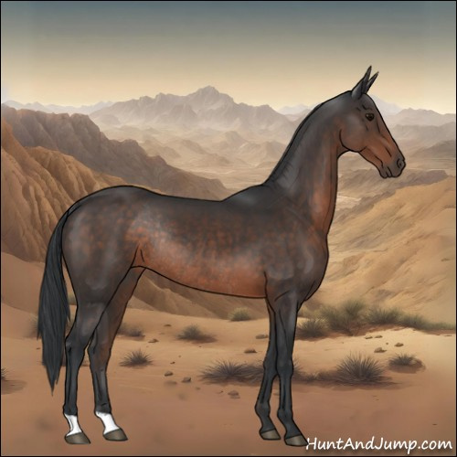 Horse Color:Brown Rabicano 