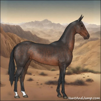 Horse Color:Brown Rabicano 