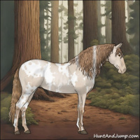 Horse Color:White Spotted Grullo Pearl