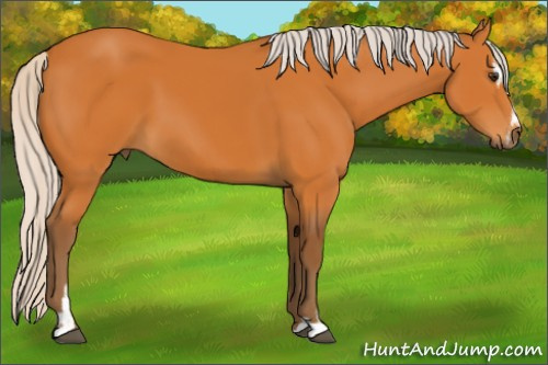 Horse Color:Silver Buckskin Sabino 