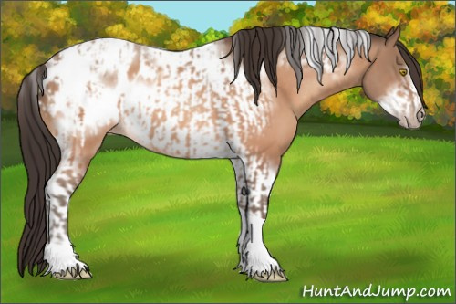 Horse Color:Amber Champagne Sabino Tobiano Appaloosa  and Amber Champagne Sabino Tobiano Frame Appaloosa 