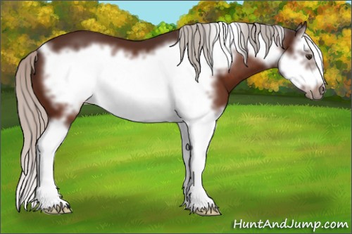 Horse Color:Silver Brown Splash Frame 