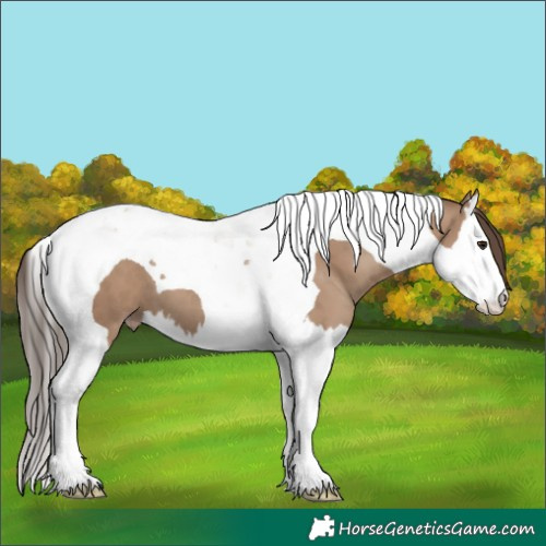 Horse Color:Classic Champagne Splash Tobiano 