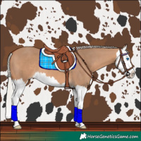 Horse Color:Silver Bay Dun Splash 