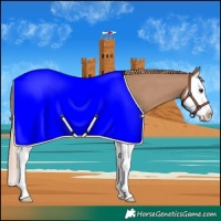 Horse Color:Red Dun Splash 
