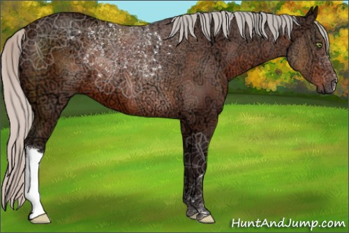 Horse Color:Silver Brown Ice 