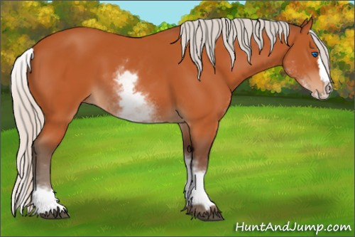 Horse Color:White Spotted Silver Bay Splash 