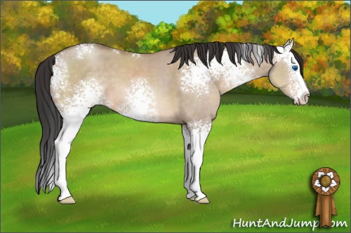 Horse Color:White Spotted Sable Champagne Dun Splash 