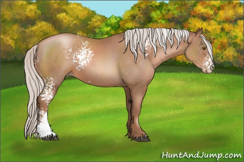 Horse Color:White Spotted Silver Black Pearl 
