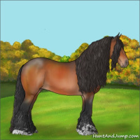 Horse Color:Brown Sabino