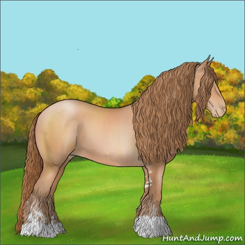 Horse Color:Brown Pearl Sabino