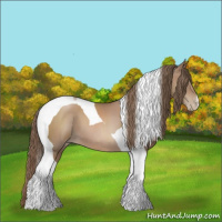 Horse Color:Black Pearl Tobiano 