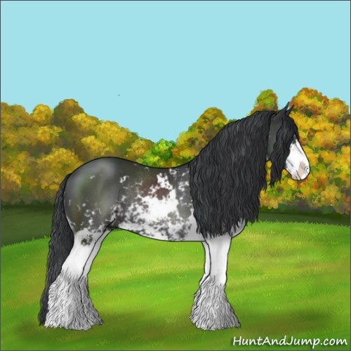 Horse Color:Black Sabino Rabicano