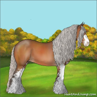 Horse Color:Silver Bay Sabino 