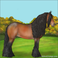Horse Color:Brown 