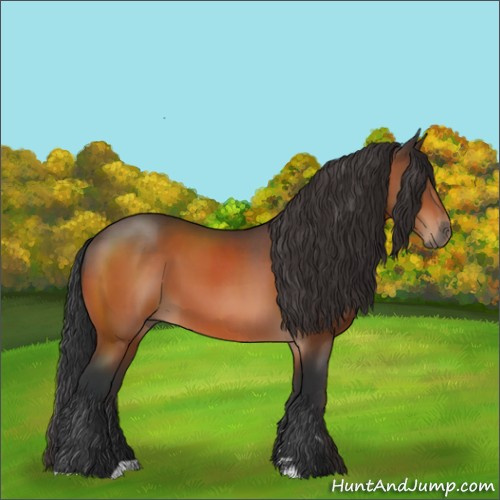 Horse Color:Brown Sabino