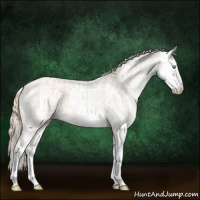 Horse Color:Perlino Sabino  and Perlino Sabino Rabicano 