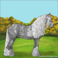 Horse Color:Chocolate Palomino Chinchilla Ice 