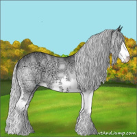 Horse Color:Silver Bay Chinchilla Ice Sabino Splash
