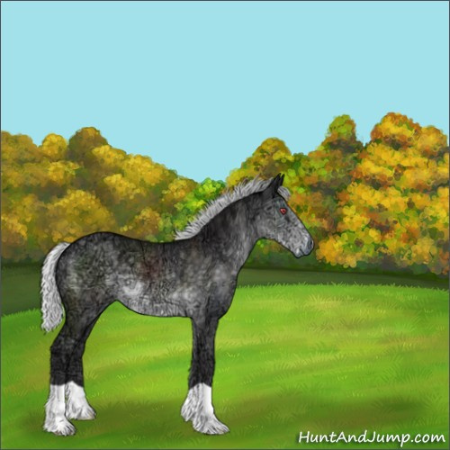 Horse Color:Silver Smoky Black Chinchilla Ice